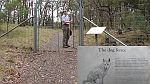 18-Heidi walks through the Dog Fence to view the Wollomombi Falls